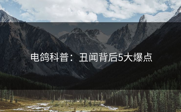 电鸽科普：丑闻背后5大爆点