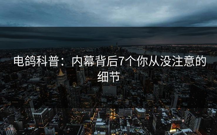 电鸽科普:内幕背后7个你从没注意的细节 电鸽科普:内幕背后7个你从没注意的细节