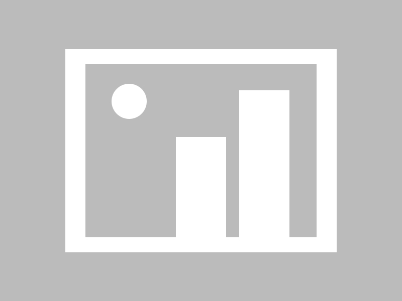 一条“每日黑料网”的转发，让我明白了所谓“官网”常常是假冒